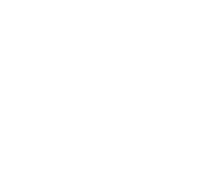 Icon-Brain